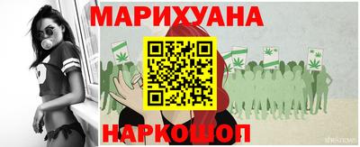 шишки Гусиноозёрск