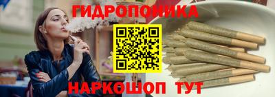 шишки Гусиноозёрск