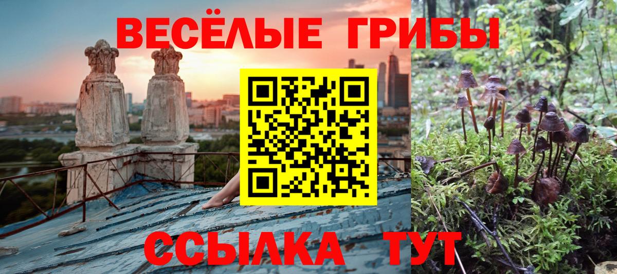 Трёхгорный  Псилоцибиновые грибы Magic Shrooms  что такое   Вход с VPN 