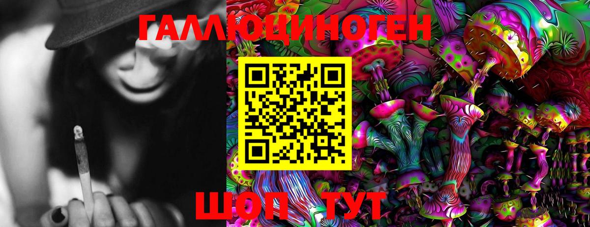 Псилоцибиновые грибы Psilocybine cubensis Трёхгорный